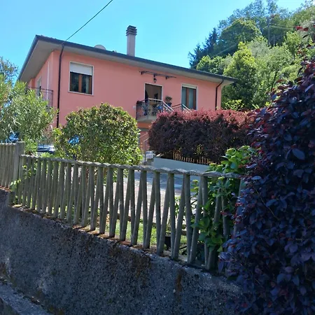 Zio Mari Carnea