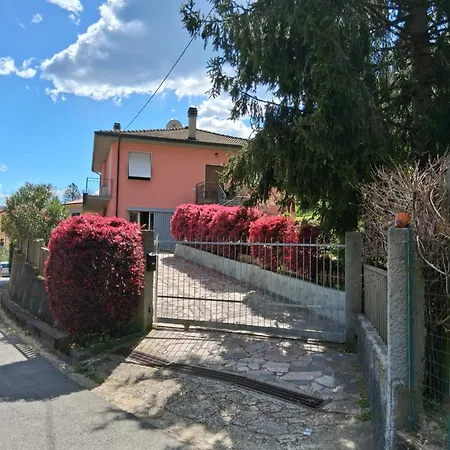 Zio Mari * Carnea